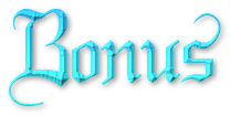 Bonus