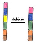 delcia
