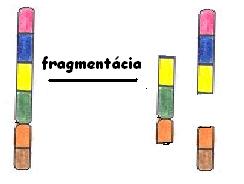 fragmentcia