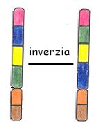inverzia