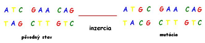 inzercia