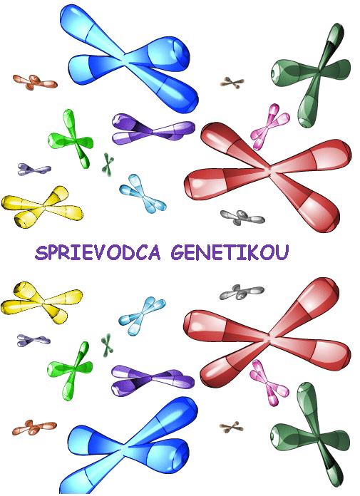 Sprievodca