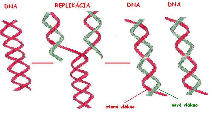 replikacia