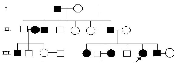 genealogia